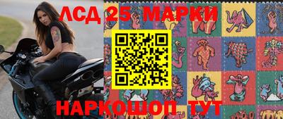 крисы Пенза