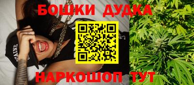 крисы Пенза