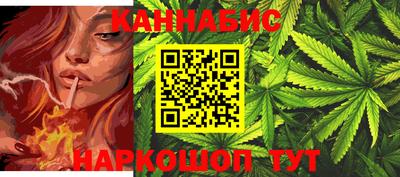 крисы Пенза