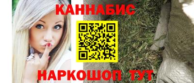 крисы Пенза