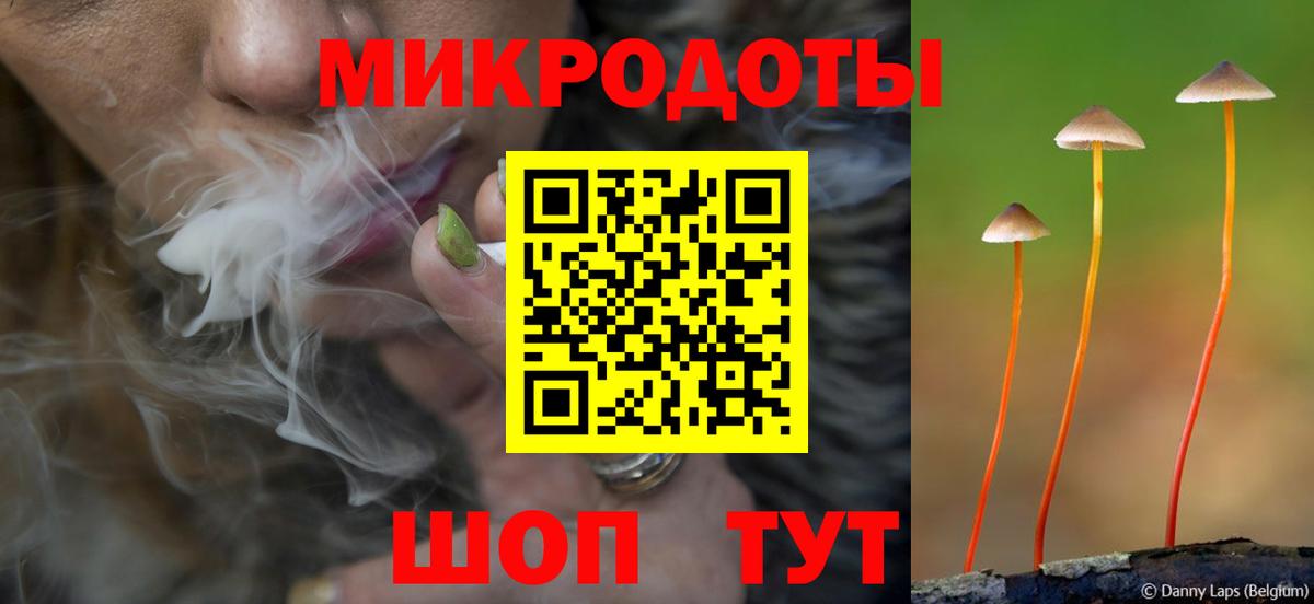 Тихорецк  Галлюциногенные грибы Cubensis  Вход с VPN 